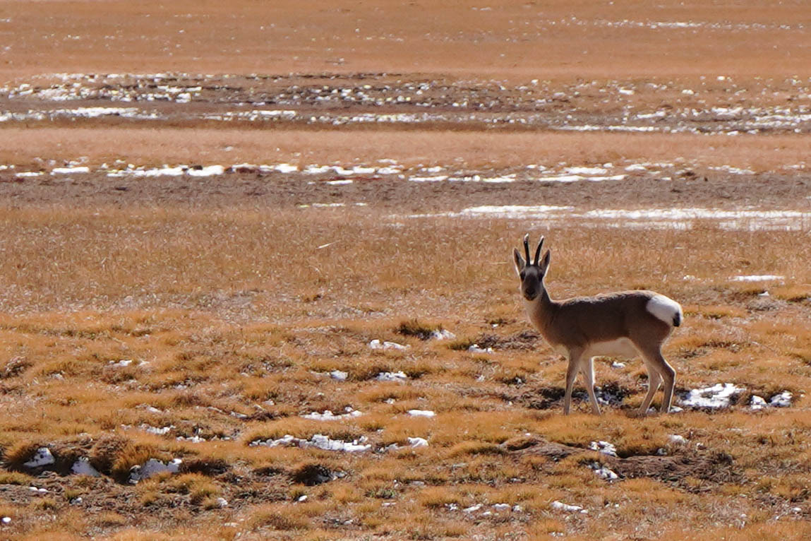 Three-River-Source National Park