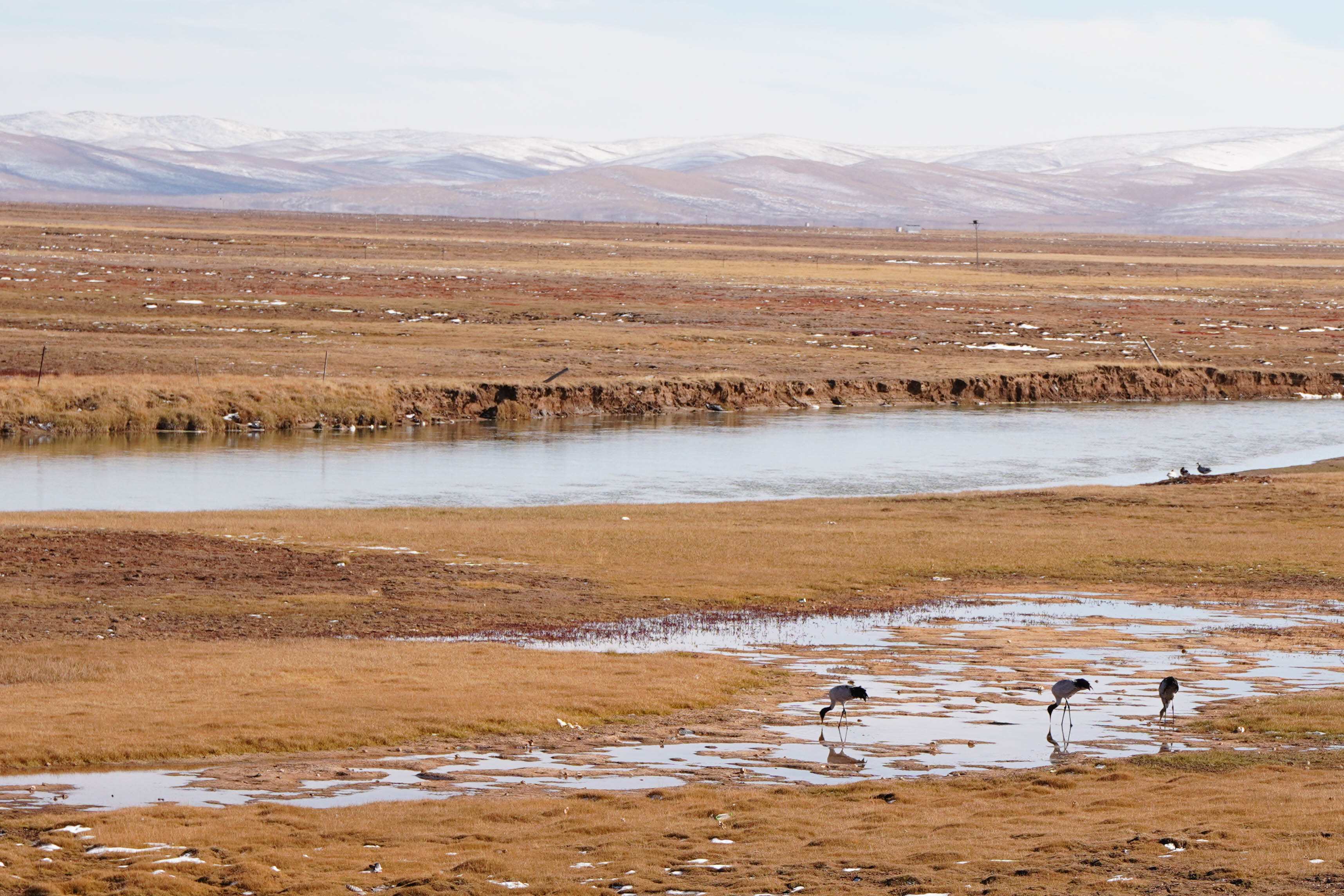 Three-River-Source National Park